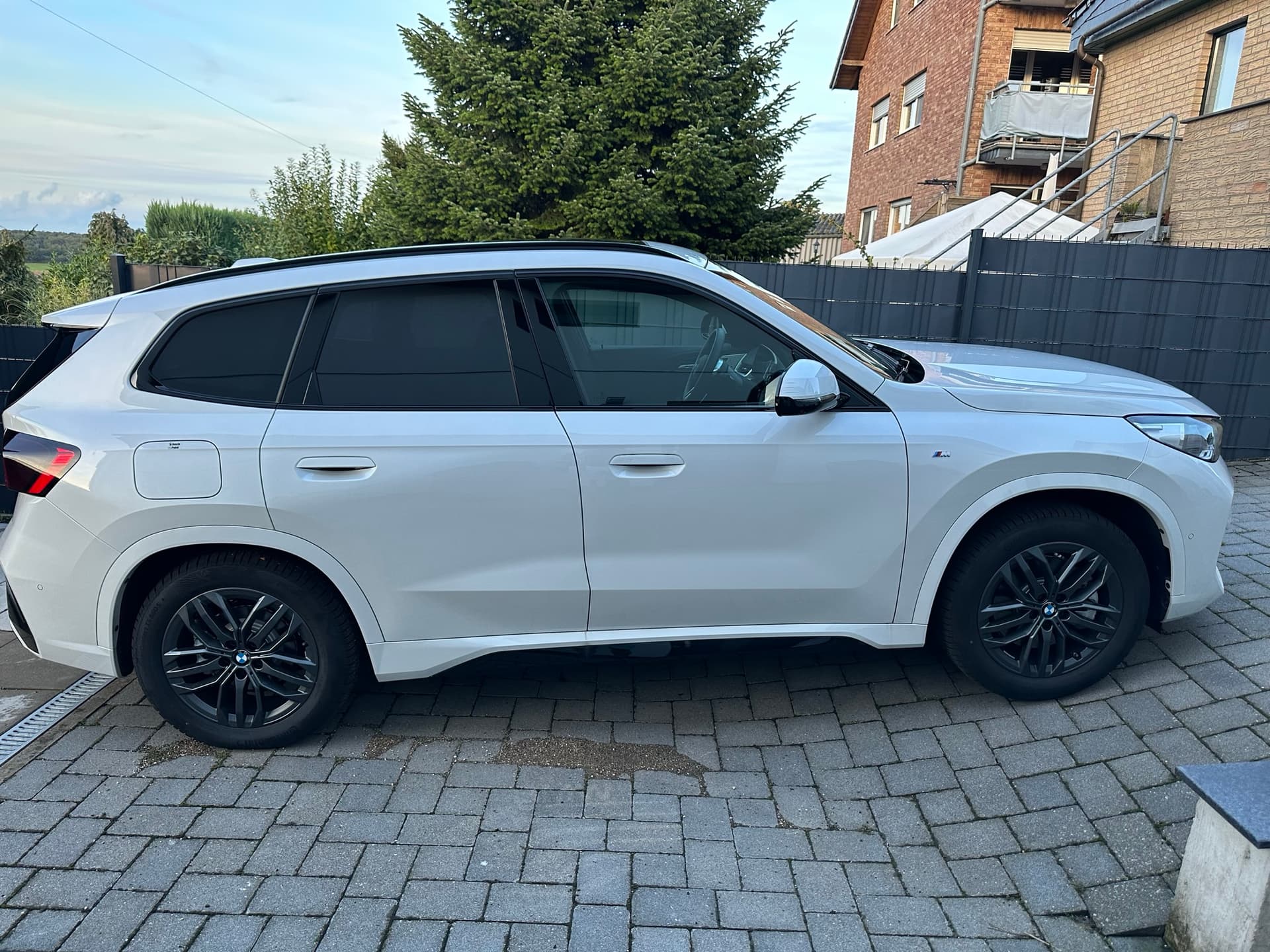 Sixt Aktionärstarif vs. Diamond Status: Was eine Aktie wirklich bringt