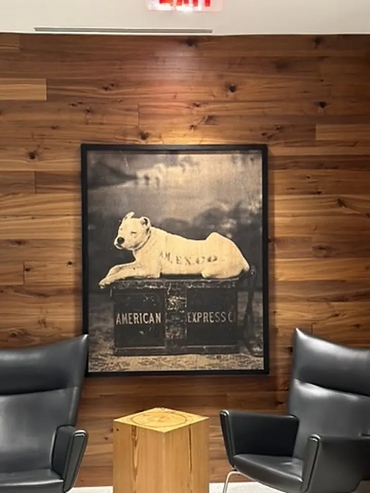 Amex motif with a dog at the Centurion Lounge JFK
